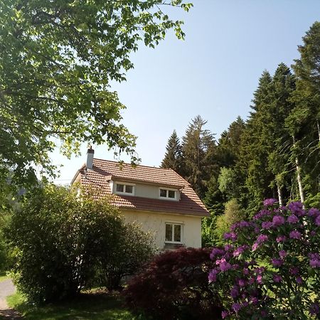 Vosges House 110 M2 In The Heart Of Nature L'Oree Du Bois Saint-Michel-sur-Meurthe Exterior foto
