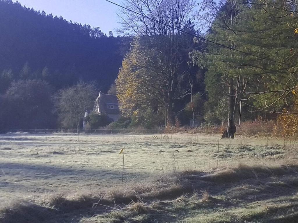 Vosges House 110 M2 In The Heart Of Nature L'Oree Du Bois Saint-Michel-sur-Meurthe Exterior foto