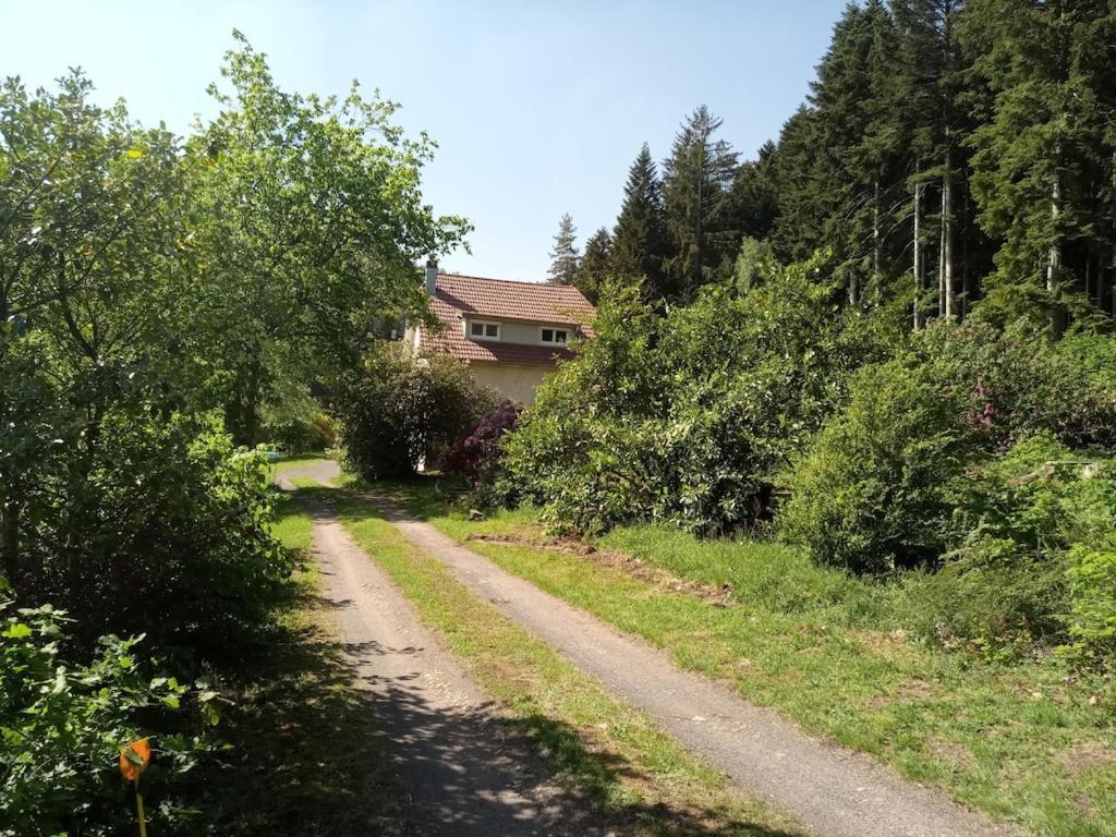 Vosges House 110 M2 In The Heart Of Nature L'Oree Du Bois Saint-Michel-sur-Meurthe Exterior foto