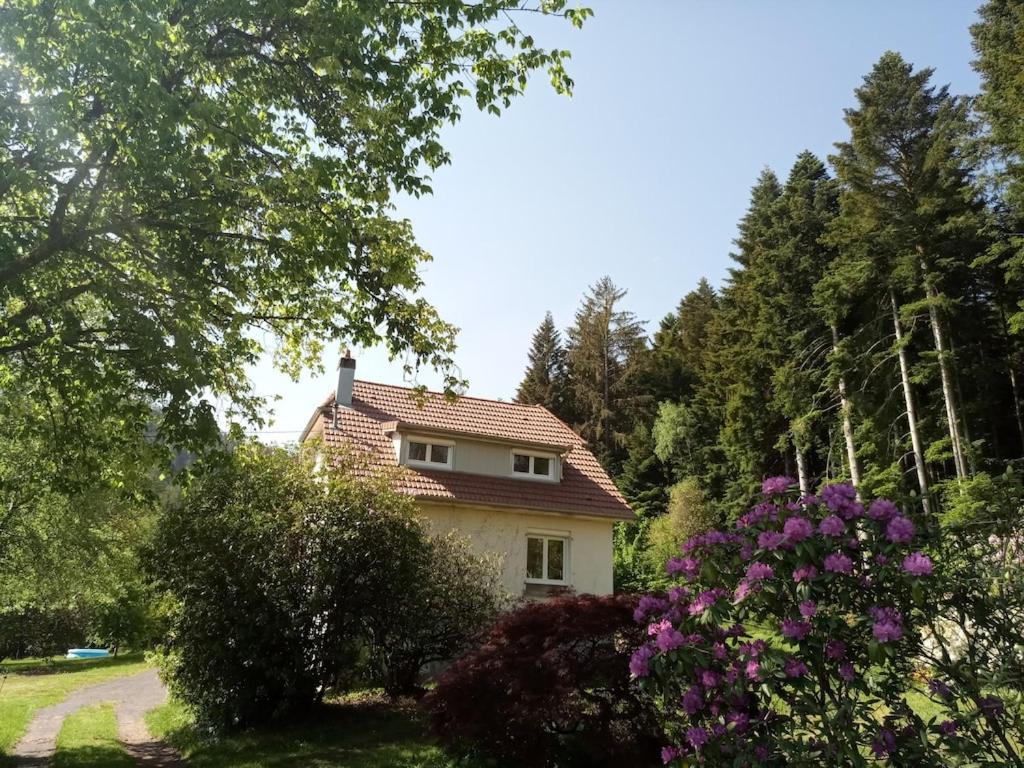 Vosges House 110 M2 In The Heart Of Nature L'Oree Du Bois Saint-Michel-sur-Meurthe Exterior foto