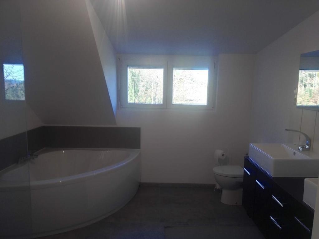 Vosges House 110 M2 In The Heart Of Nature L'Oree Du Bois Saint-Michel-sur-Meurthe Exterior foto